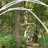 2010   Arcades, installation dans le paysage , Overpelt.
